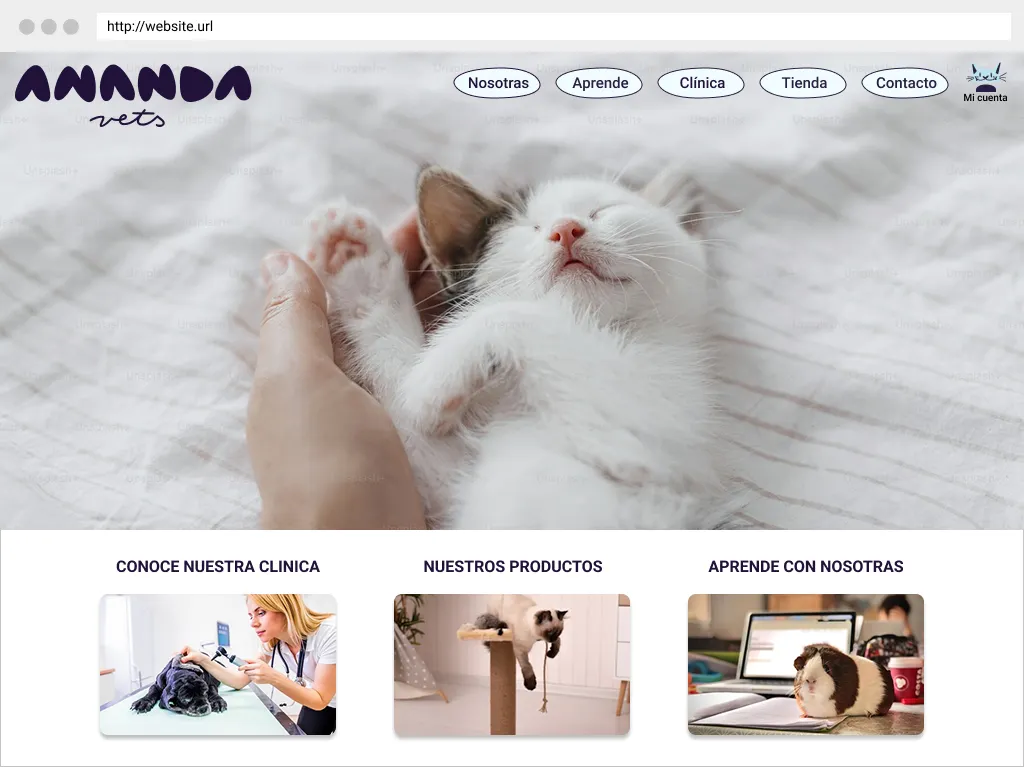 Featured visual for the veterinary clinic UX/UI case study.